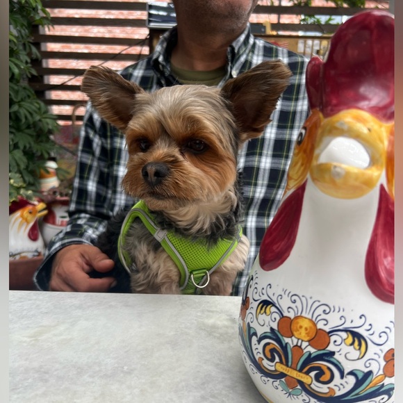 Meet your Posher, Tania - Picture 11 of 11